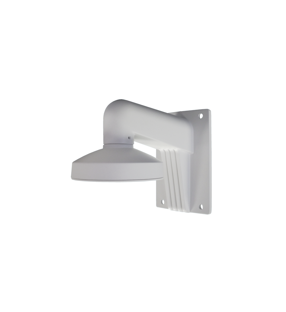 DS-1273ZJ