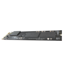 HS-SSD-E100NI-256G-2280