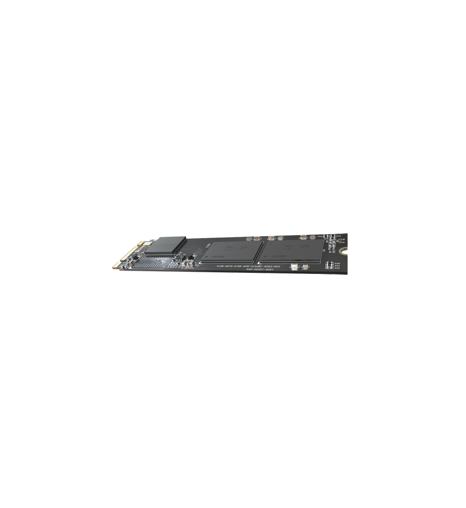 HS-SSD-E100NI-256G-2280