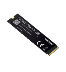 HS-SSD-FUTURE-2048G