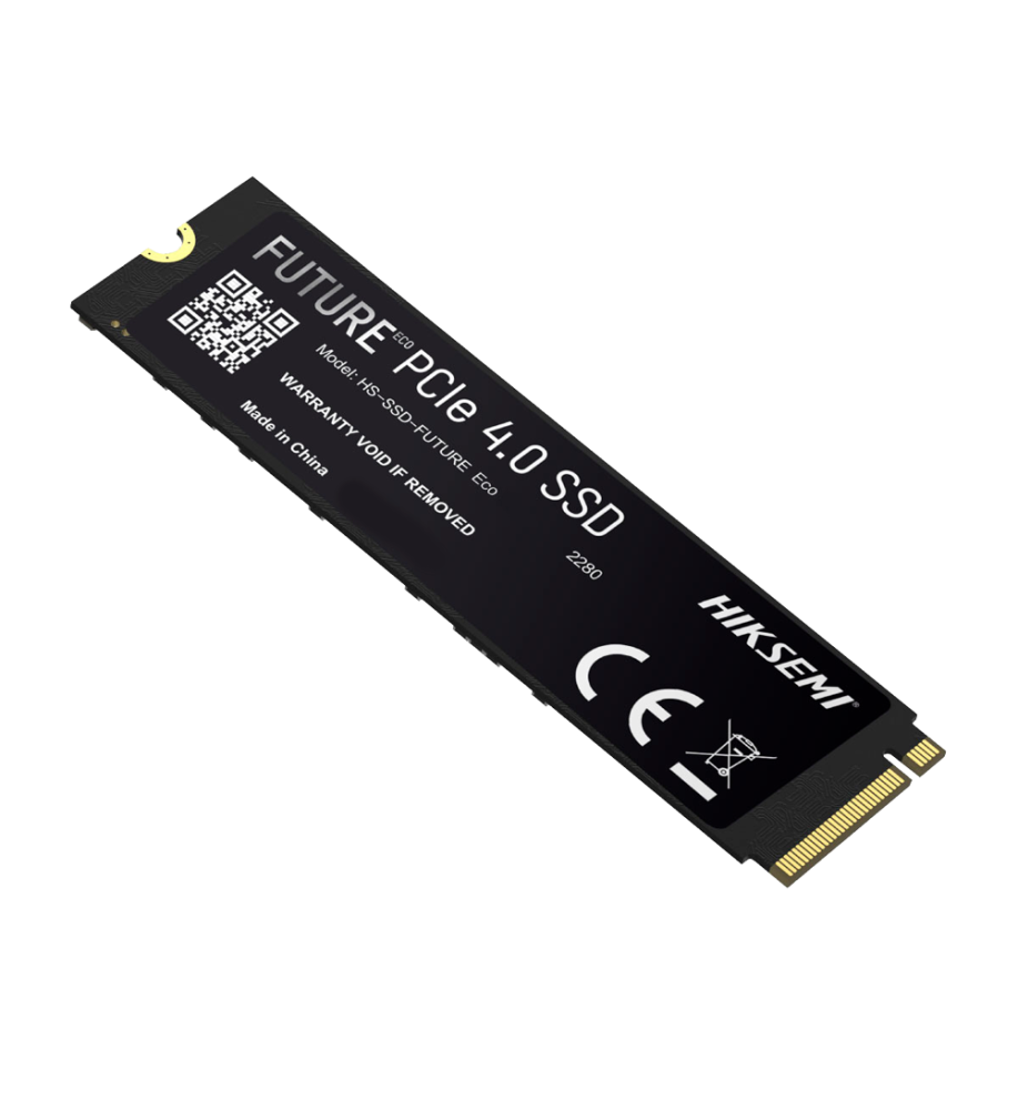 HS-SSD-FUTURE-2048G