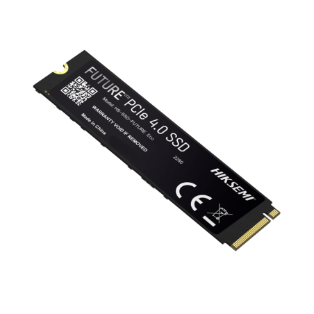 HS-SSD-FUTURE-2048G