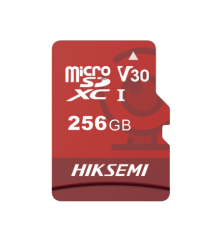 HS-TF-E1-256G