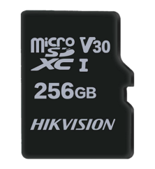 HS-TF-M1STD-256G-V2