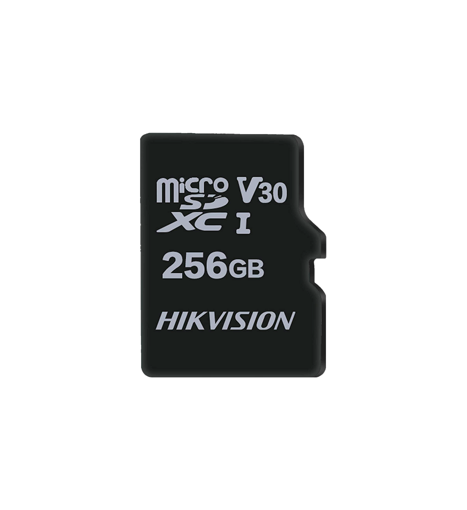 HS-TF-M1STD-256G-V2