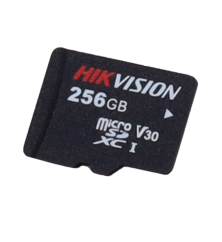 HS-TF-P1STD/256G