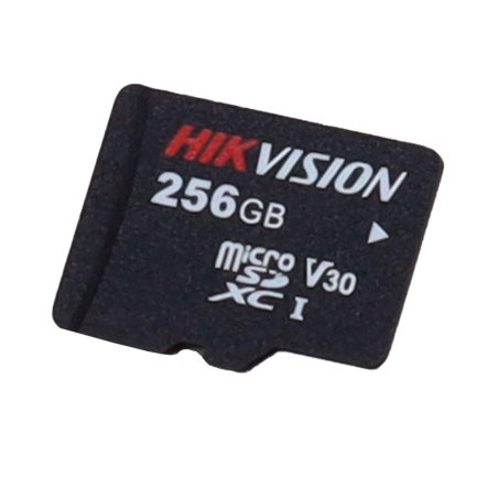 HS-TF-P1STD/256G