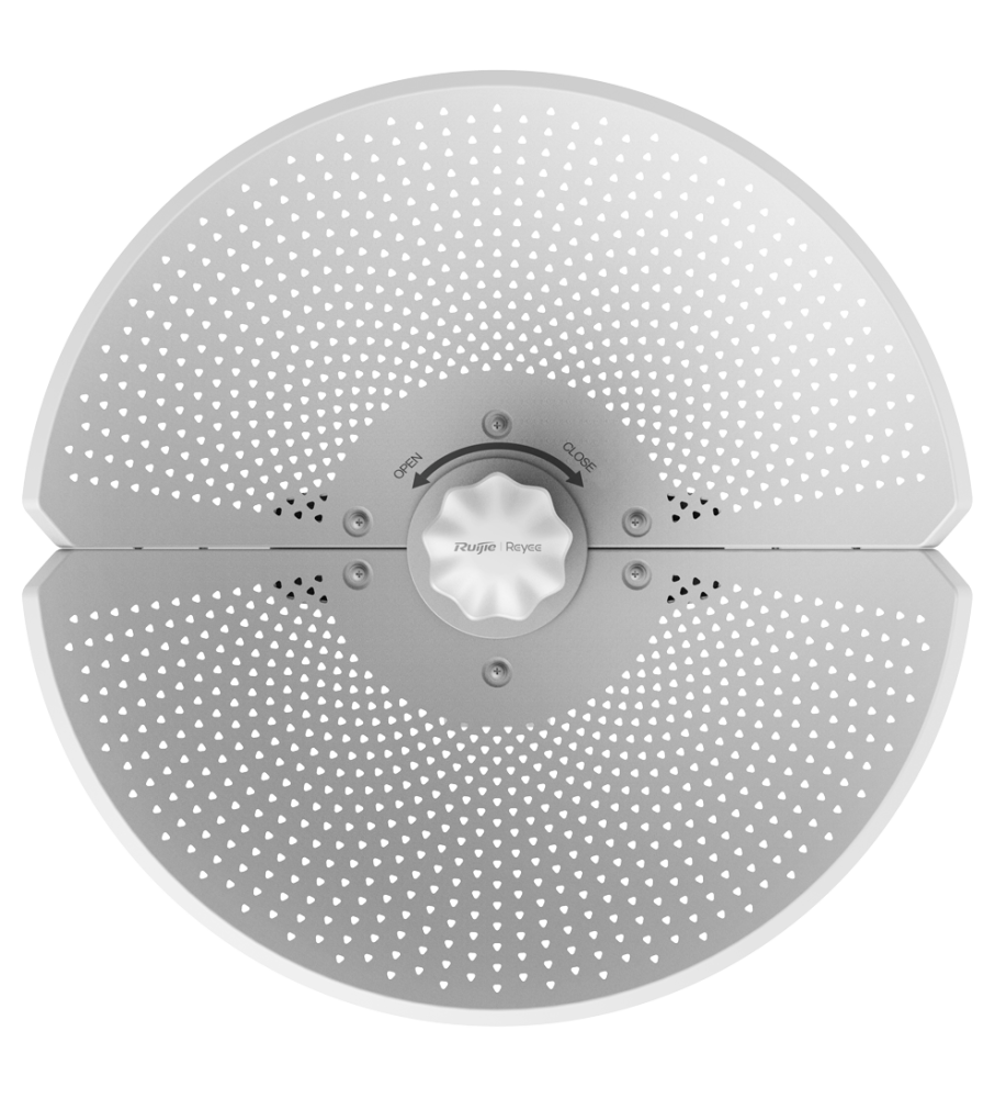 RG-AirMetro460F