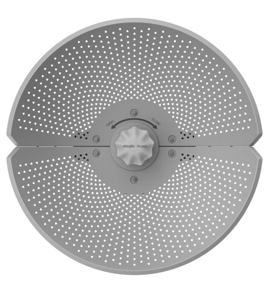 RG-AirMetro460G