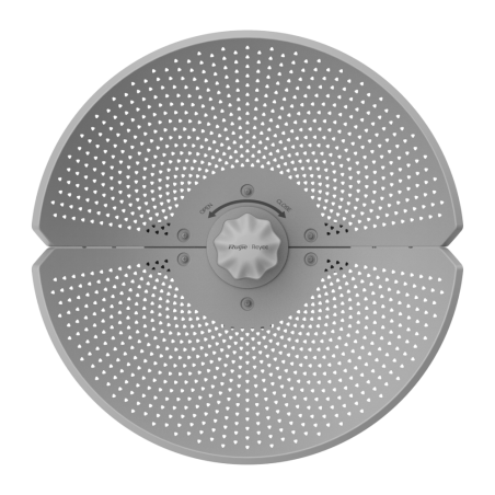RG-AirMetro460G