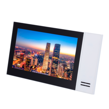 XS-V2421M-IP-POE