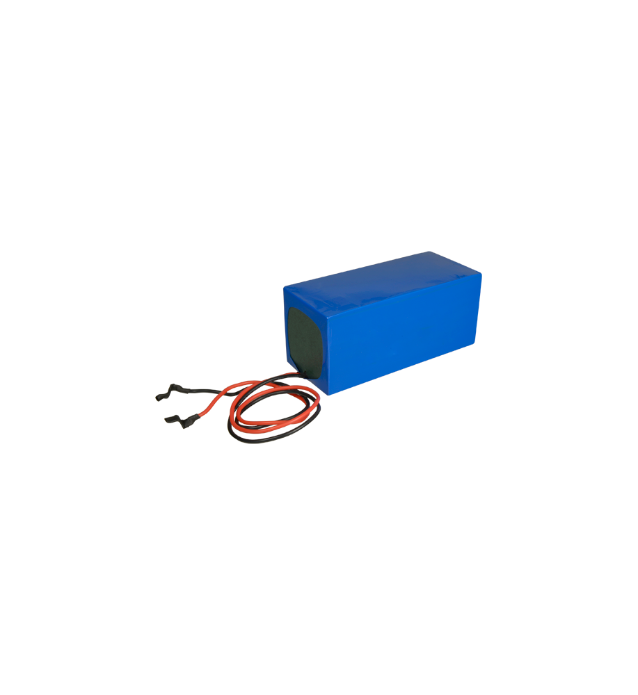 BAT12100-LIFEPO4